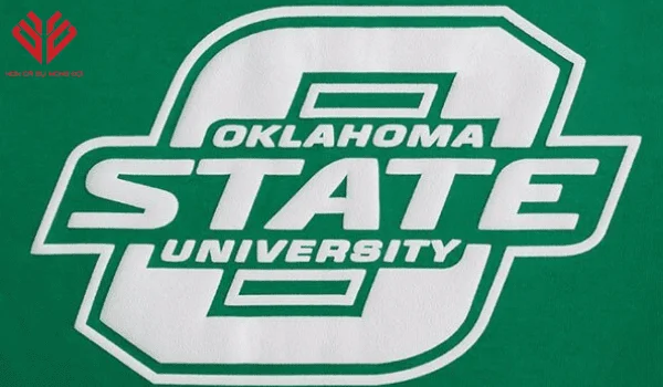 in ep vinyl tren ao thun